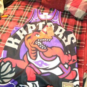 Toronto raptors jersey